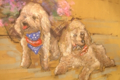 8-paddington-and-penelope