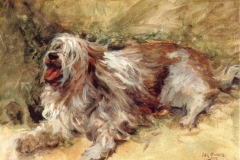 xfs_750x500_s80_9-english-sheep-dog-commission